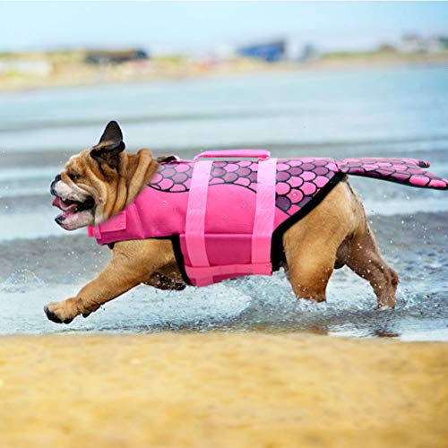 dog swimming jacket