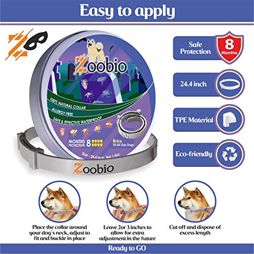 Dog Flea and Tick Collar - Flea and Tick Prevention for Dogs Up to 1 Year Easily Adjustable and Waterproof for Large Small Dogs Flea and Tick Control - Natural Dog Flea Collar for Pet 24.5