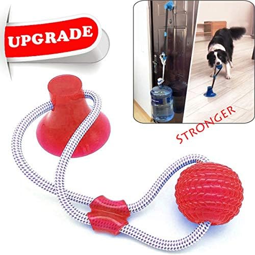 NonoGo Suction Cup Dog Toy, Pet Molar Bite Toy, Dog Multifunction