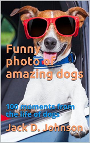 Funny photo of amazing dogs: 100 moments from the life of dogs