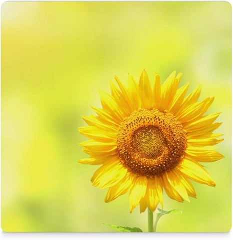 Amazon セラミックコースター オシャレ 断熱 吸水 6枚 明るい黄色 ひまわり 保護コルク裏面 速乾 滑り止めカップマット 環境に優しい素材 茶托 飲む コーヒー 備品 新築贈り物 コースター オンライン通販