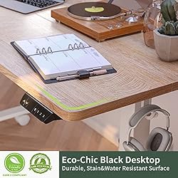 FEZIBO Electric Standing Desk, 48 x 24 Inches