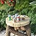Miniature Fairy Garden Chillin' Beverage