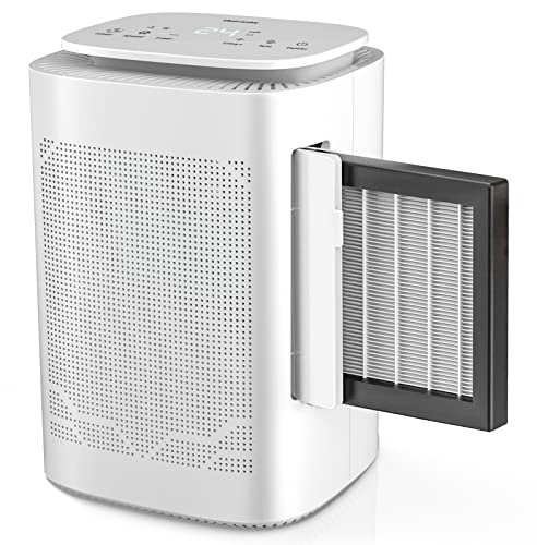 THECOSKY DH16 Air Purifier Dehumidifier