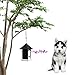 CY Outdoor Ultrasonic Dog Bark Controller No Barking House Anti-Barking Training Tool in Birdhouse Mode (Black)