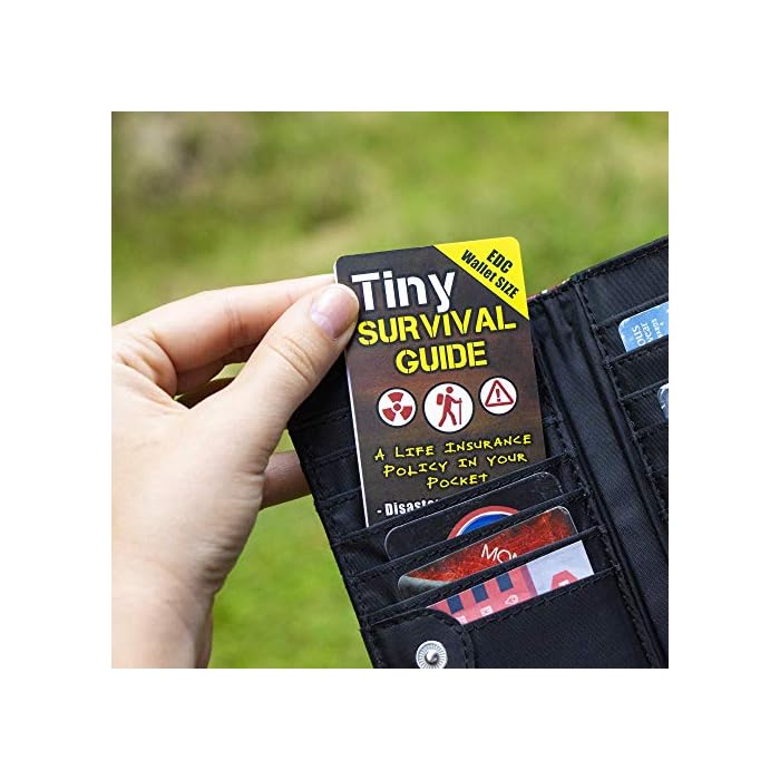 Tiny Survival Guide A Life Insurance Policy in Your