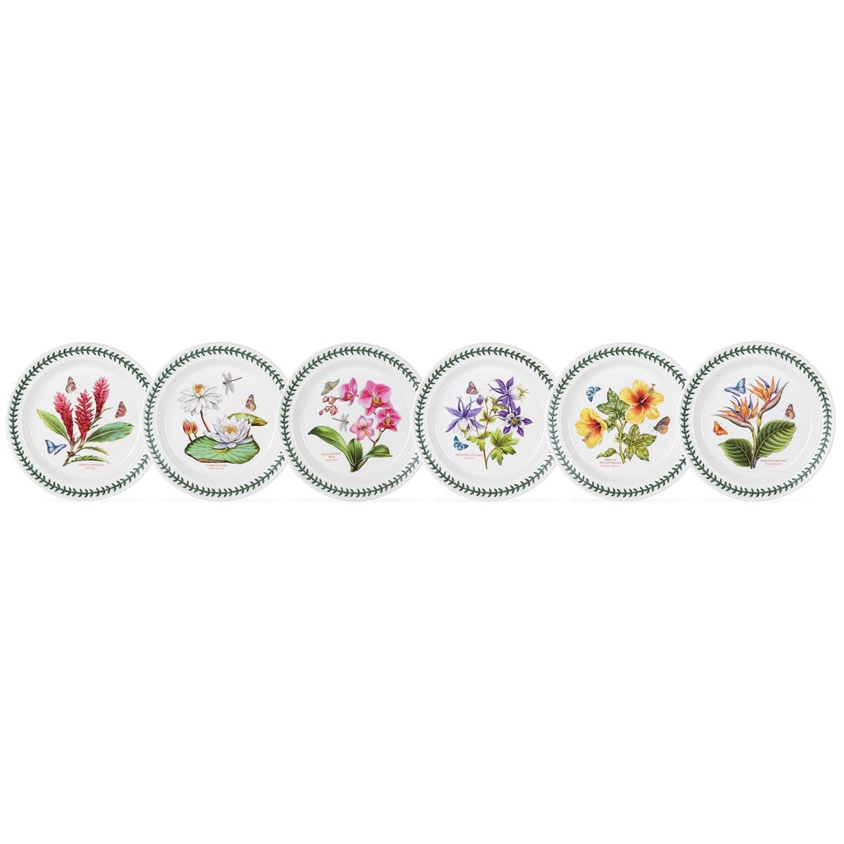 Portmeirion Exotic Botanic Garden 10.5" Dinner Plate | Set of 6 | Assorted Motifs | FIne Earthenware | Dishwasher, Microwave, and Oven Safe | Made in England