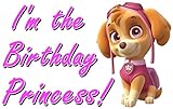 PAW Patrol Skye - For Light-Colored Materials - Birthday Girl - Iron On Heat Transfer 8