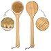 Haveia Bath Body Brush Boar Bristles Exfoliating Body Massager with Long Wooden Handle for Dry Brushing and Shower