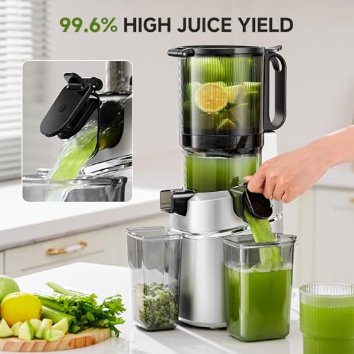 AMZCHEF Automatic Cold Press Juicer Machines 250W Liberate Your Hands -135MM Opening and 2L Capacity Slow Juicers for Whole Fruit and Vegetable