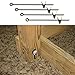 Playset Anchors