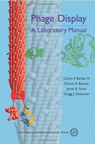 Phage Display A Laboratory Manual By Barbas Iii Carlos F Burton Dennis R Silverman Gregg J October 12 04 Paperback Barbas Iii Carlos F Burton Dennis R Silverman Gregg J Amazon Com Books