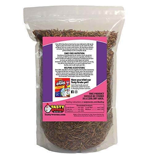 Tasty Worms 1/2 Lb (8 Oz) Freeze Dried Mealworms Approx. 8,000ct
