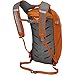 Osprey Packs Daylite Daypack, Magma Orange