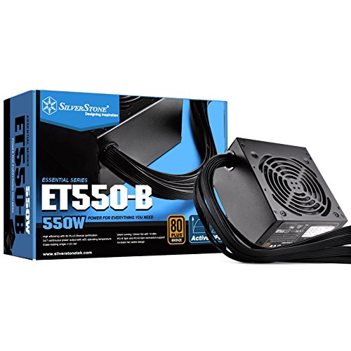 SilverStone Technology 550 Watt 80 Plus Bronze ATX PSU with Flat Black Cables ET550-B Power Supply ET550-B