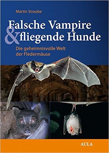Falsche Vampire Fliegende Hunde Die Geheimnisvolle Welt Der Fledermause Amazon De Straube Martin Bucher