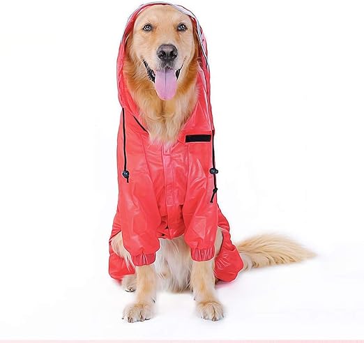 raincoat for beagle