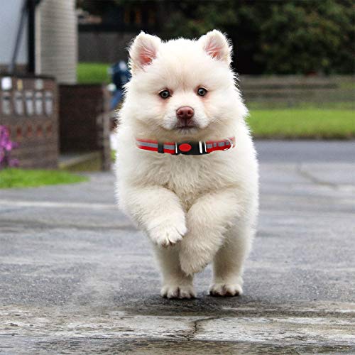 Egoola Night Reflective Dog Collar Adjustable Pet Collars with Small Medium Large (M 19-13 inch, Light Blue)