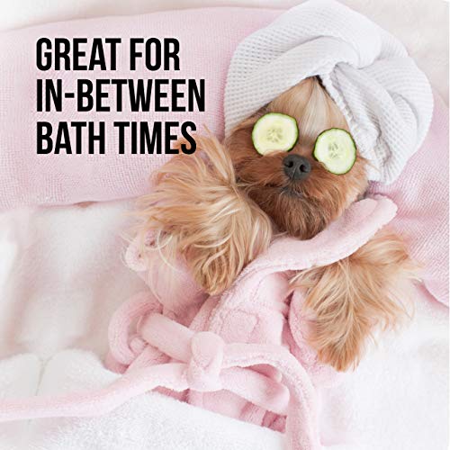 Natural Rapport Dog Cologne Spray - The Only Between Bath Spray Dogs Need, Convenient, Between-Bath Dog Deodorant Spray and Pet Urine Odor Eliminator Perfume (Female, 8 fl oz.)