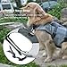 Petacc Dog Life Jacket Pet floatation vest Dog Lifesaver Dog Life Preserver for Water Safety at the Pool, Beach, Boating (M, Shark)