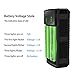 18650 Battery Charger, ESYB M2 2 Bay Speedy Charger with USB Port for 3.7V Li-ion Rechargeable Battery Flashlight Head Lamp Handheld Mini Fan VTC5 VTC6 GA 25R 30Q HG2 PF