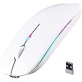 Wireless Bluetooth Mouse, Rechargeable, LED, Silent, Ultra-thin Design (Bluetooth 5.2 and 2.4GHz USB Receiver) | Portable Computer Mouse for Laptops, iPads, MacBooks and Apple Devices (white)