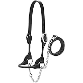 Weaver Leather Livestock Dairy/Beef Rounded Show Halter, Black, X-Small
