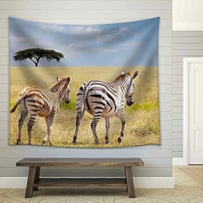 Zebra - Fabric Wall Tapestry Home Decor - 51x60 inches