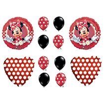 Minnie Mouse Party Supplies Balloons Decorations Supplies