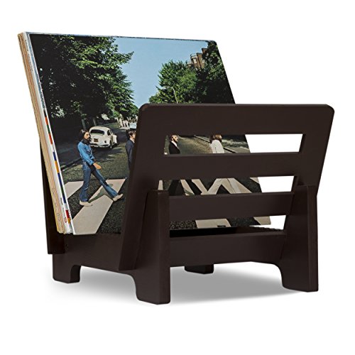 Vinyl Record Storage Rack. Holds 50+ Albums GoTinySpace