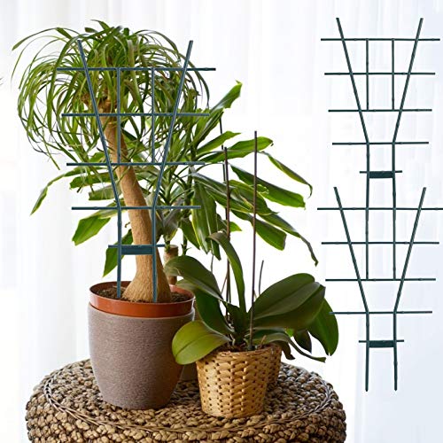 Wyi 6 x Rankgitter für Kletterpflanzen, Kunststoff, 38,1 cm hoch, für Kletterpflanzen, Ranken, Blumen – Bild 2