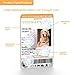XpressID Holographic Custom Therapy Dog ID Card with Photo - Includes Registration to National Dog Registry - QR Code Ready