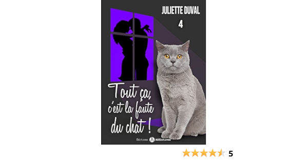 Tout Ca C Est La Faute Du Chat 4 French Edition Kindle Edition By Duval Juliette Literature Fiction Kindle Ebooks Amazon Com