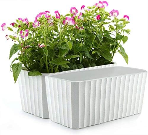 T4u プラスチック長方形セルフウォーターウィンドウボックス ホワイト 2個セット 今季も再入荷 モダンな装飾プランターポット ハーブ すべてのハウス植物 多肉植物用 アフリカのスミレ 花
