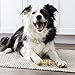 Milk-Bone Chews GnawBones Rawhide Free Dog Treats, Chicken, 5 Long Lasting Small/Medium Knotted Bones
