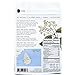 Organic Ceylon Cinnamon Ground Powder - 1 pound - 100% Organic, Non GMO, Highest Quality