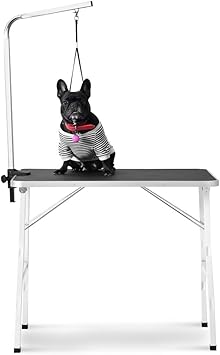 pointer cross border collie