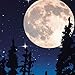 Yankee Candle Melt Cup Scenterpiece™ Midsummer's Night® YMCMN