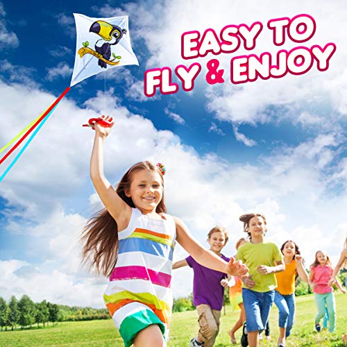 Innorock DIY Kites for Kids Easy to Fly 4Pack Kite Summer Beach