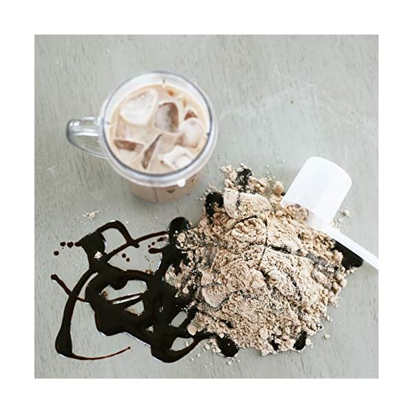 Myprotein-Impact-Whey-Protein-Powder-Muscle-Building-Supplements-For-Everyday-Workout-With-Essential-Amino-Acid-And-Glutamine-Vegetarian-Low-Fat-And-Carb-Content-Chocolate-Smooth-1kg Myprotein Impact Whey Protein Powder. Muscle Building Supplements for Everyday Workout with Essential Amino Acid and…