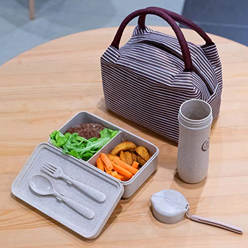 lunch box set for adults