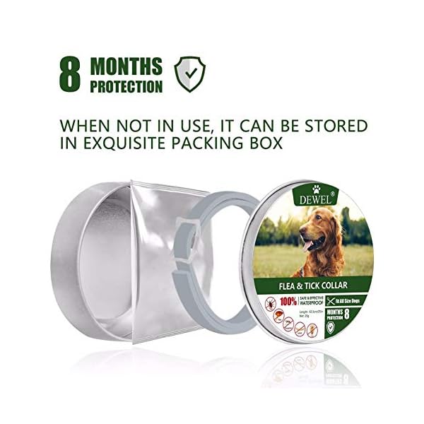 jianghui - Collare Anti-pulci per Cani jianghui jianghui - Collare Anti-pulci per Cani