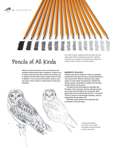 Sketching & Illustrating Birds: Professional Drawing Class - Thumbnail 3