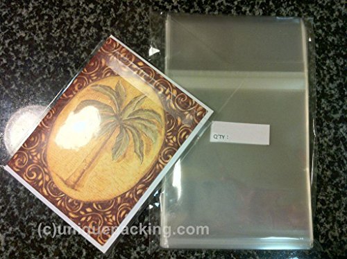 100 Pcs A6+ Resealable Cellophane Bags - 4 15/16 X 6 9/16 Clear Protective Sleeves