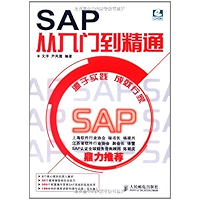 SAP从入门到精通（异步图书） (计算机行业应用软件系列) (Chinese Edition) book cover