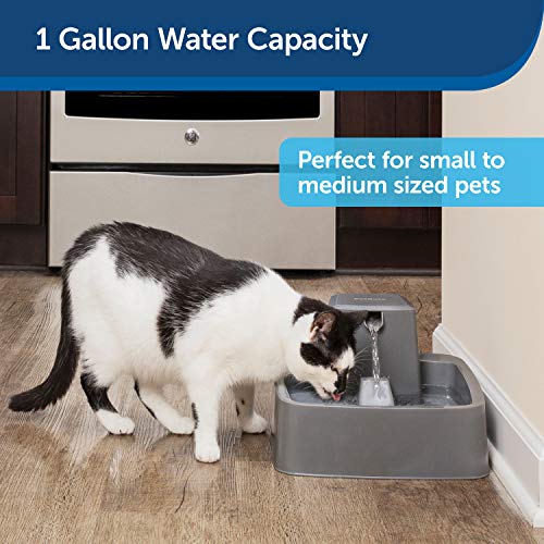 PetSafe Drinkwell 1 Gallon (128 Ounce) Medium Pet Fountain Cat or