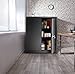 Superday Black Metal Storage Cabinet,Lockable Steel Storage Cabinet with Doors and 2 Adjustable Shelves,Utility Cabinets for Home and Garage