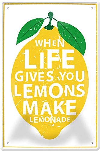 When Life Gives You Lemons Make Lemonade 20 x 30 Funny Decorative Tin Sign 312