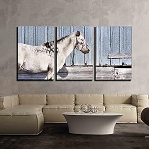 3 Piece Canvas Wall Art - Gray Horse - Modern Home Art Stretched and Framed Ready to Hang - 16"x24"x3 Panels