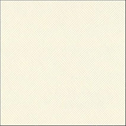 Amazoncom Bazzill Cream Puff 12x12 Textured Cardstock 80 - 